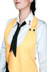 Someliérská zástěra