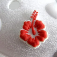 Ozdoba na obuv Pin'zz - květiny